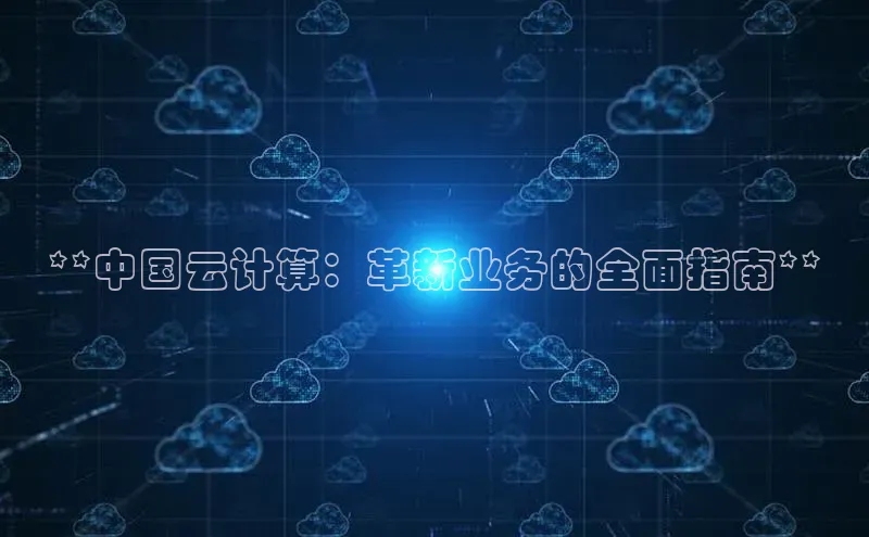 加拿大2.8平台下载诸葛科技**中国云计算：革新业务的全面指南**