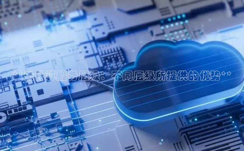 28圈.ccmpc29官网版下载百度手机输入法**云计算服务层级：不同层级所提供的优势**