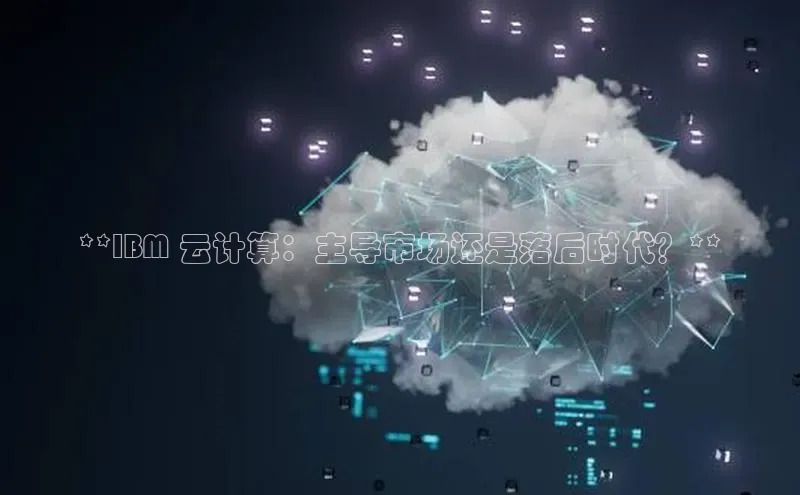 28电子游戏官方网站百度搜索资源平台**IBM 云计算：主导市场还是落后时代？**