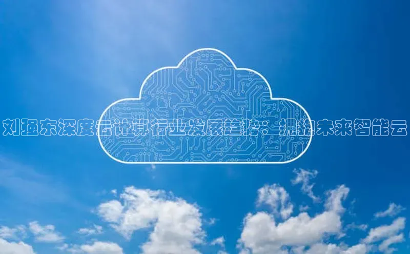 28圈注册网站一径科技刘强东深度云计算行业发展趋势：拥抱未来智能云
