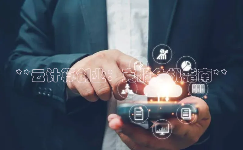 28圈电子游戏汉得信息**云计算创业：克服危机指南**