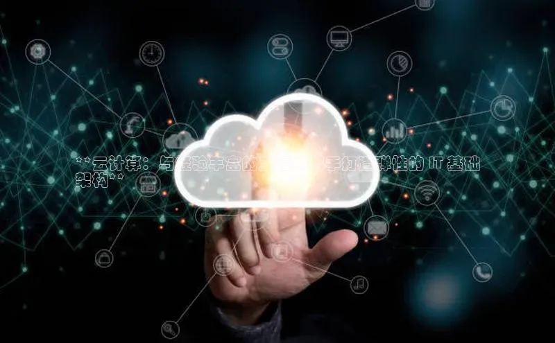 加拿大28圈app官网开奖结果百度网盘**云计算：与经验丰富的工程师携手打造弹性的 IT 基础
架构**