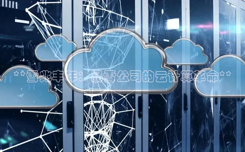 加拿大28快速预测开奖百度人工翻译**雪兆丰年：暴雪公司的云计算革命**