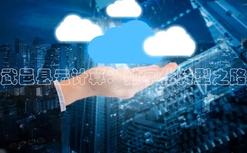 加拿大预测28在线预测官网网易武邑县云计算：数字化转型之路