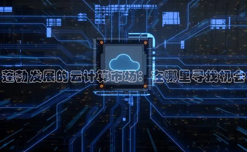 28电子游戏官方网站小度商城蓬勃发展的云计算市场：在哪里寻找机会