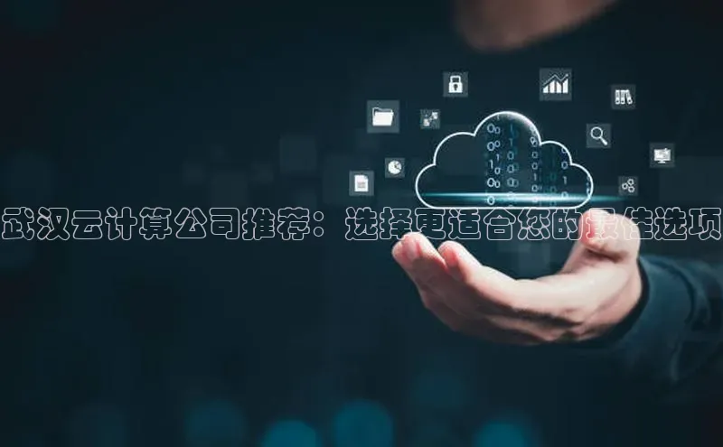 加拿大28圈.ccm挪威主权基金武汉云计算公司推荐：选择更适合您的最佳选项