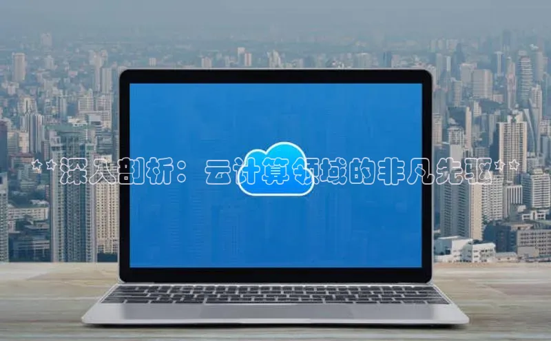 加拿大28圈.ccm挪威主权基金**深入剖析：云计算领域的非凡先驱**