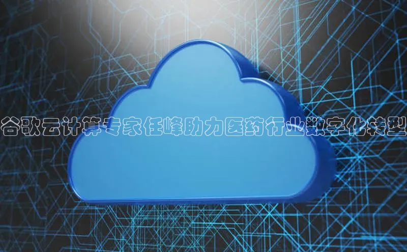 能玩加拿大28的网址如流谷歌云计算专家任峰助力医药行业数字化转型