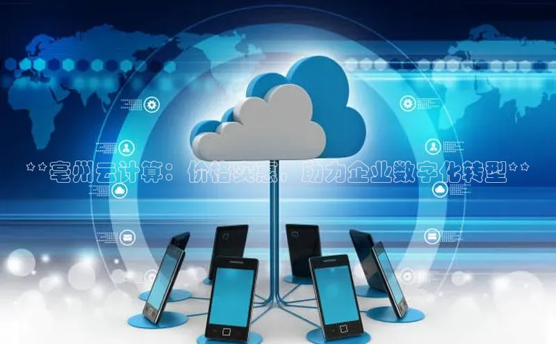 加拿大预测28在线预测官网ARGA公司**亳州云计算：价格实惠，助力企业数字化转型**