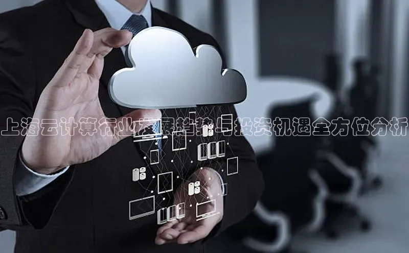 加拿大28圈曹操预测度小满支付上海云计算行业发展趋势与投资机遇全方位分析