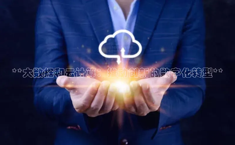 加拿大28圈.ccm挪威主权基金**大数据和云计算：推动创新的数字化转型**