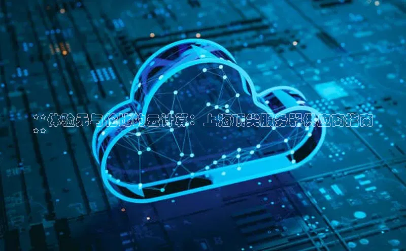 28圈.ccm小米**体验无与伦比的云计算：上海顶尖服务器供应商指南
**