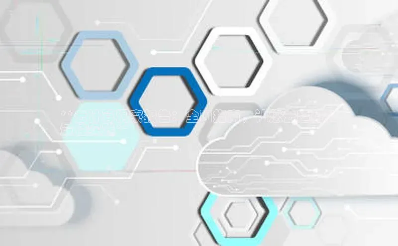 加拿大28圈最新版2023下载神思电子**云计算洞察报告：全面指南，让您云趋势和
最佳实践**