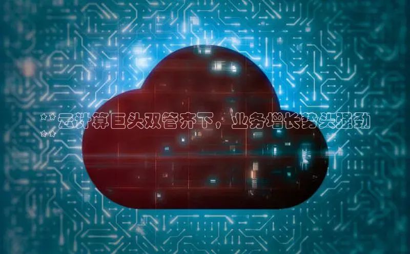 加拿大28预测开奖官网咪牌哇咔哇咔文化**云计算巨头双管齐下，业务增长势头强劲
**