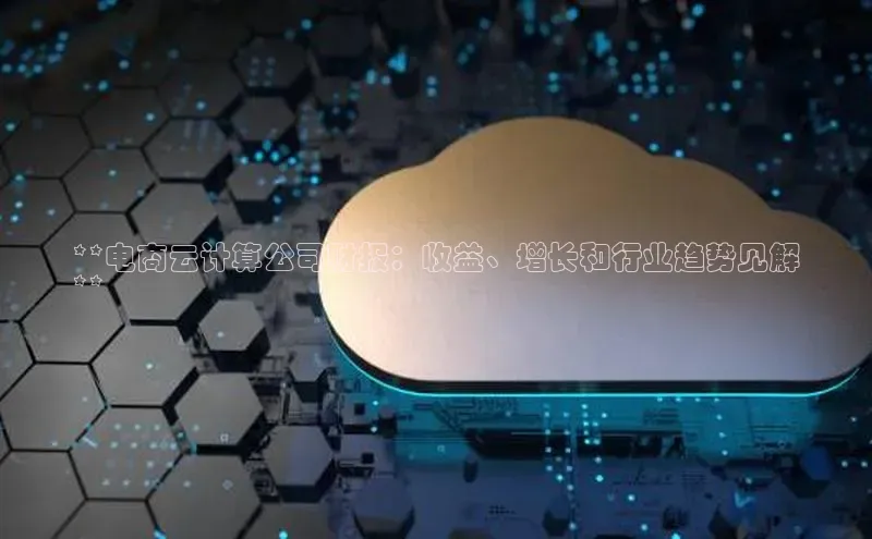 能玩加拿大28的网址如流**电商云计算公司财报：收益、增长和行业趋势见解
**